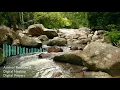 Download Lagu Digital Healing - Anxiety Reducer 2