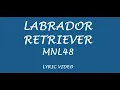 Download Lagu MNL48 - Labrador Retriever (Lyrics)