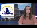PCAPS waives adoption fees all week