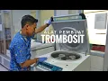 Lagu Mengenal ALAT CANGGIH PEMBUAT TROMBOSIT - PMI Kudus