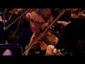 Jeff Lynne - Evil Woman (Live in Hyde Park)