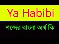 Ya Habibi meaning in bangla