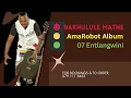 Download Lagu Bakhulule Mathe - 07 Entlangwini