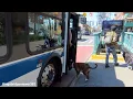 MTA New York City Bus The B69 Bus Near Grand Army Plaza 2022