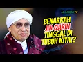 Download Lagu Apakah Jin Qarin Tinggal di Tubuh Manusia? | Buya Yahya