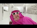 DEICHKIND - Richtig Gutes Zeug (OFFICIAL VIDEO)