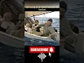 Download Lagu 🌊 Kisah Ibu dan Anak yang Terjebak di Pulau Misterius#short#viralvideo#shorts#feed #trending#tiktok