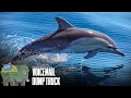 Voicemail Dump Truck 217 Meyers Dolphin President mp3