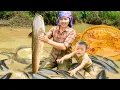 Download Lagu How to Harvest Giant Catfish by Bare Hand on a Sunny Day to Sell at Market, Grill Fish for Children
