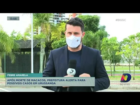 Após morte de macacos, prefeitura de Urussanga alerta para possíveis casos de febre amarela