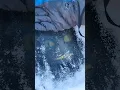 Download Lagu Found a Frozen Dinosaur under the ice! How did it get there?