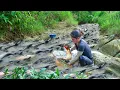 Download Lagu Catch Giant Fish with Your Children to Sell at the Market \u0026 Cook Food for Pigs