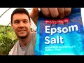 How to use Epsom Salt in the Garden and on Your Potted Plants