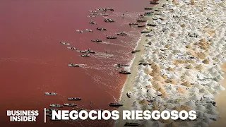 Extrayendo 60,000 toneladas métricas de sal en un peligroso lago rosa más salado que el Mar Muerto