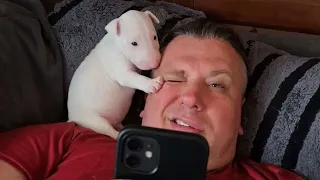 CUTEST Dogs Are Completely Obsessed With Their Dad 😂❤️