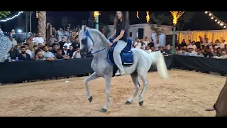رقص خيل و أجمل فارسه مصريه