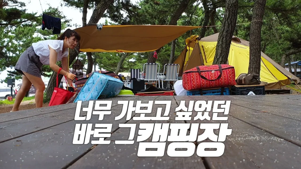 바다캠핑은 역시 동해바다! 강릉 연곡 솔향기 캠핑장으로의 여정! 여름휴가 캠핑여행, 캠핑장 추천 썸네일