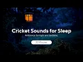 Download Lagu Crickets Sounds for Sleep | Night Ambient Sound Effect | 20 Minutes