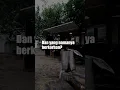 Download Lagu Jangan Hidup Untuk Mengikuti Air Mengalir, Setuju❓