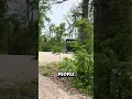 Vibes