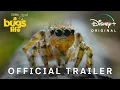A Real Bug s Life Trailer National Geographic