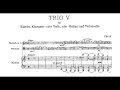 Johannes Brahms: Trio for clarinet, cello and piano Op. 114 (1891)