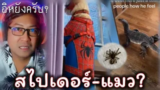 เมื่อผมเดา(ไม่มีไม้โท)ไม่ออก