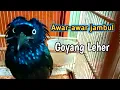 Download Lagu Awar-awar mata putih goyang leher..nyelotek.