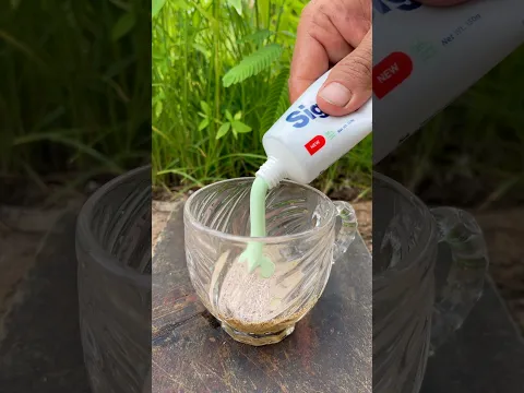 Survival Skills SIMPLE and USEFUL save SOAP & Water in forest #camping #survival #outdoors