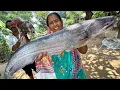 Download Lagu মায়ের হাতে পাটনাই মুরগি রান্না সঙ্গে দামোদরের 2.5kg ওজনের বোয়াল মাছের ঝোল রান্না | villfood