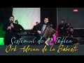 Download Lagu Ork Adrian de la Bobesti - Sistemul de la Toflea ☀️ ( Love Fratii Advahov , Love Botgros Lautarii )