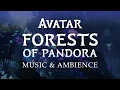 Download Lagu Avatar | Forests of Pandora Music \u0026 Ambience in 4K, with ASMR Weekly