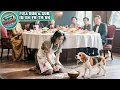 Download Lagu Menantu 5 Tahun Tak Punya Anak Dihina Seperti Anjing, Ternyata CEO Wanita Tersembunyi Balas Dendam
