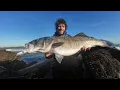 Download Lagu Topwater 14.5lb Bass On The Samson Fat Minnow! First Cast- Robalo Grande Surface Strike