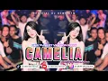 Download Lagu CAMELIA [ CHIKA LUTFI ] - NEW FUNKOT VERSION 2025 COVER BY DJ DEWI ON THE MIX