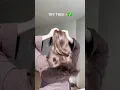Half up half down
