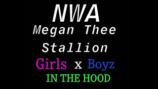 Download Boyz x Girls In The Hood Mashup! MP3