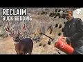 Reclaiming A Buck Bedding Area The Right Tools For The Job Lee and Tiffany Lakosky