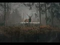 Cody Jinks - Alone (Tradução PT-br)