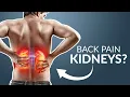 Could your back pain be KIDNEYS