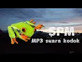Download Lagu MP3 suara kodok dimalam hari pengantar tidur