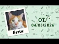 Nestle is OTJ x3 2026