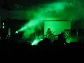 CEREBRAL ROT