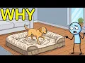 Why Do Dogs Still Circle Before Lying Down Even on Soft Beds