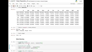 Python - Data Preparation