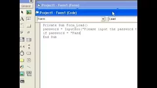 Visual Basic Password Protection Con t