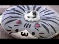 Download Lagu Very FUNNY CATS - Super HARD TRY NOT TO LAUGH challenge