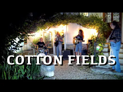 Download MP3 Cotton Fields - Creedence Clearwater Revival Full Cover with Dominique Cotten