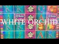 WHITE ORCHID SLOT MACHINE 2 BONUSES 30 40 FREE GAMES