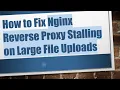 How to Fix Nginx Reverse Proxy Stalling on Large File Uploads